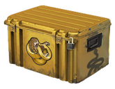 Case